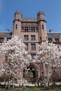 Beautiful buildings and trees at Yale